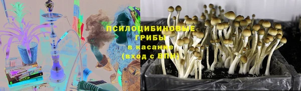 таблы Алексин