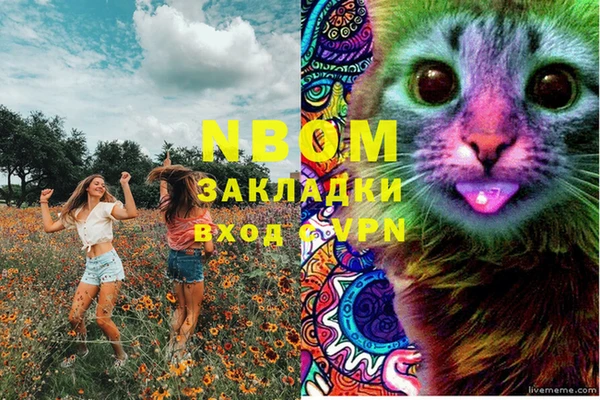 таблы Алексин
