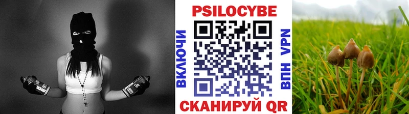 Галлюциногенные грибы Cubensis  Завитинск 
